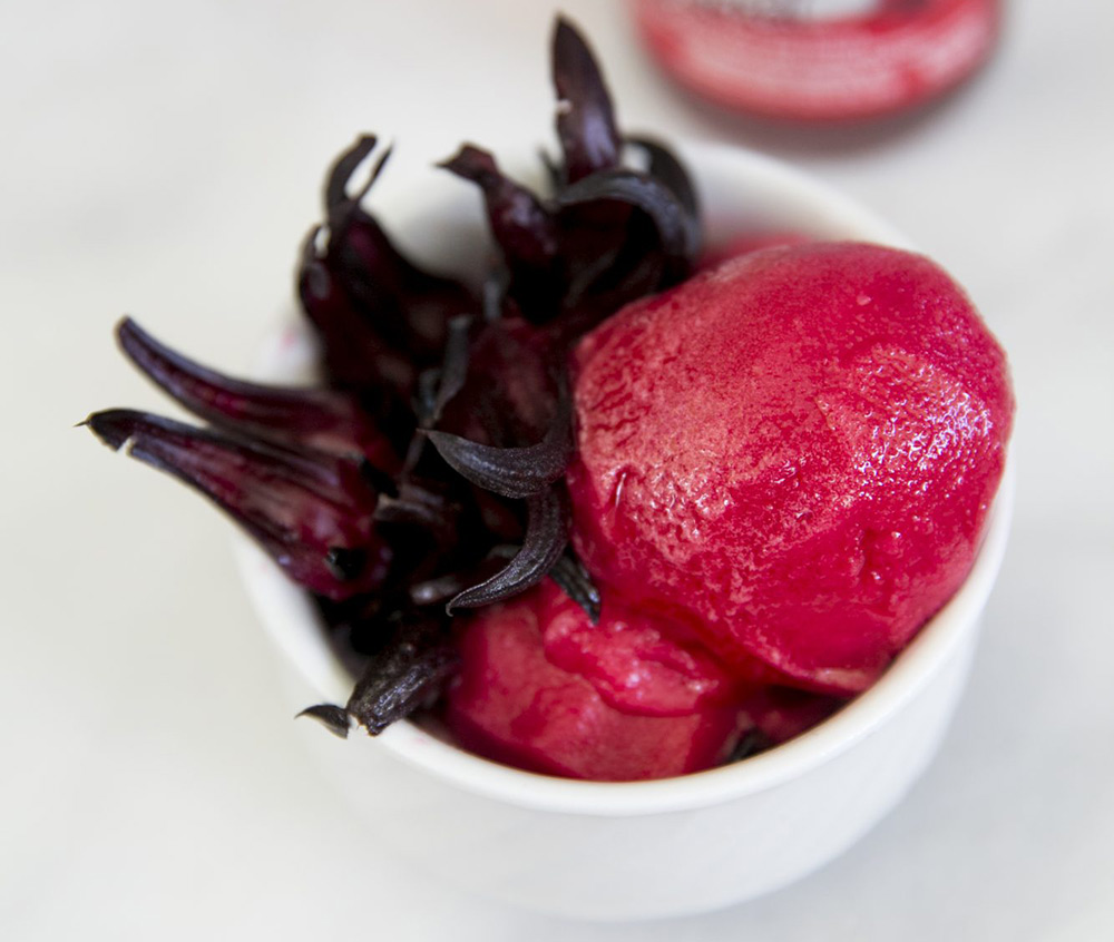 Sorrel Sorbet Recipe